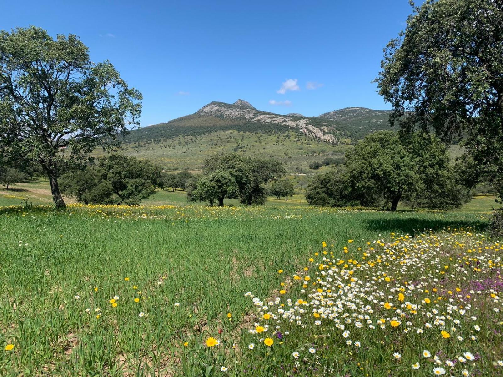 Sierra Hornachos Villa Luaran gambar